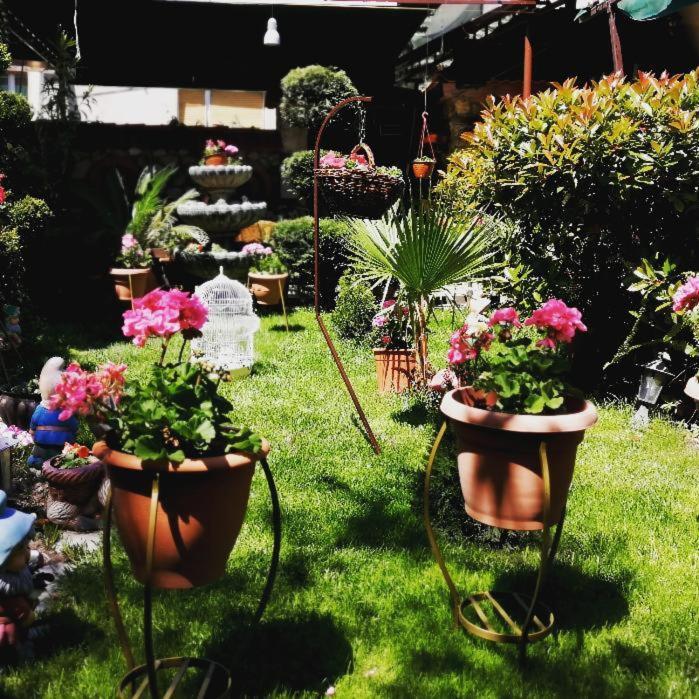 Gala-Garden Ξενοδοχείο Μπίτολα Εξωτερικό φωτογραφία